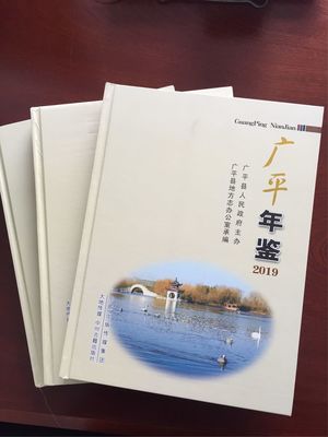 《广平年鉴》2019出版发行 记录时代发展，传承地方文化